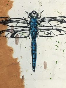 drypoint print of dragonfly on chine colle