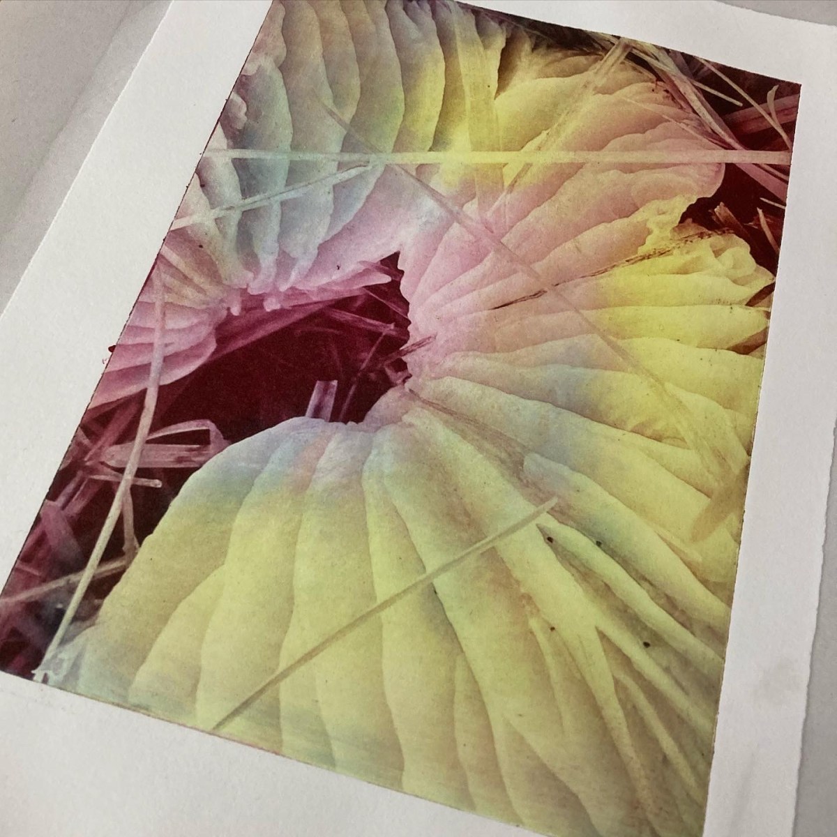 Still Places left for Photopolymer Etching course – Cardiff Print Workshop